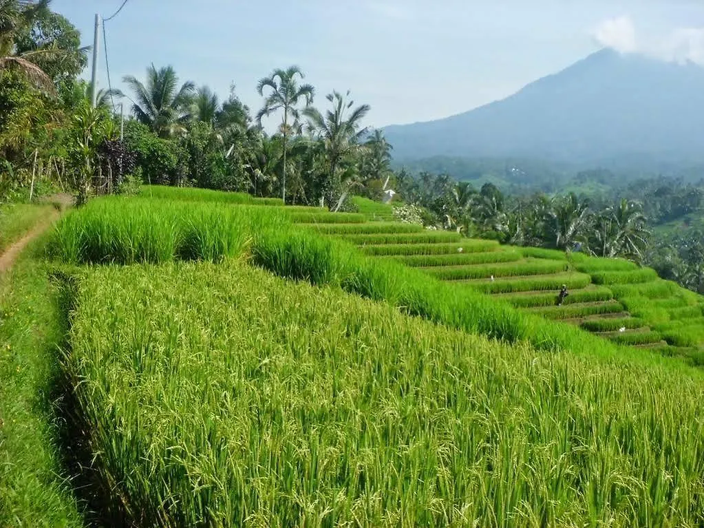 Zen Premium Seminyak Eka Laweya Hotel  Seminyak (Bali)